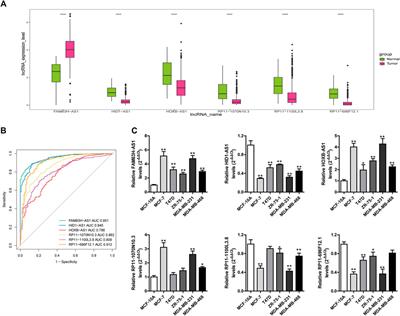 Development and Validation of a Novel Stemness-Index-Related Long Noncoding RNA Signature for Breast Cancer Based on Weighted Gene Co-Expression Network Analysis